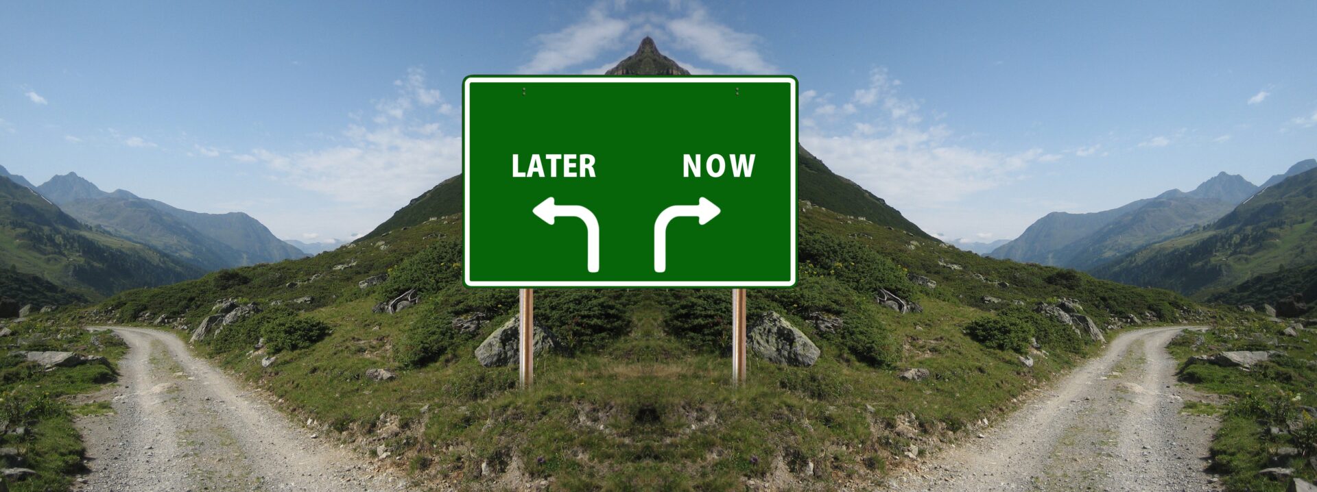 Signpost at fork in road saying 'now' or 'later' (Image by Gerd Altmann from Pixabay)