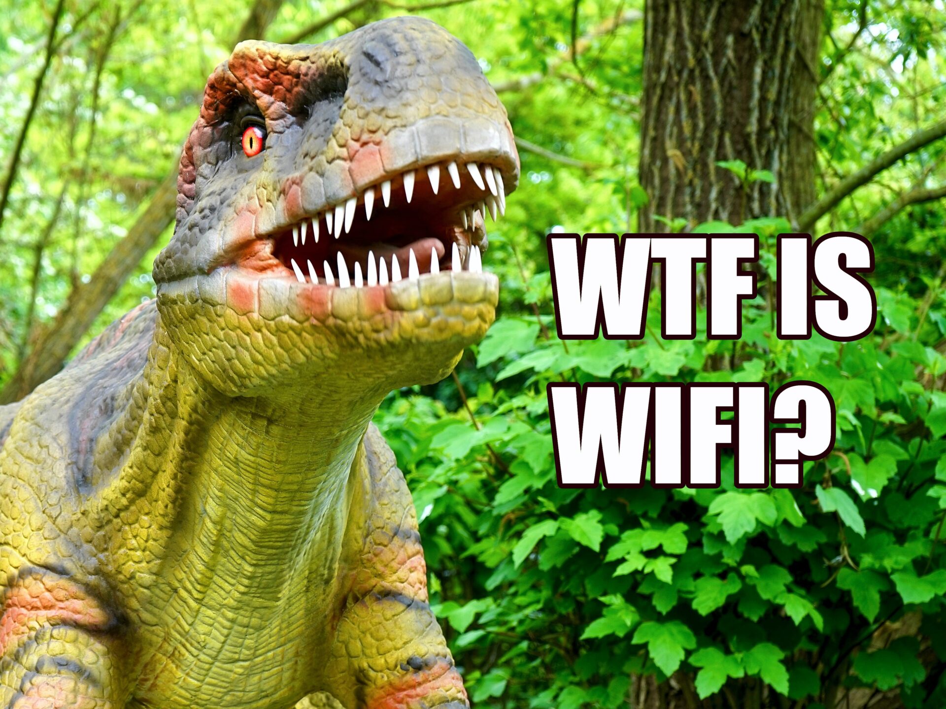 WTF is wi-fi?