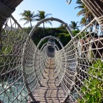 Atlantis Paradise Island Rope Bridge