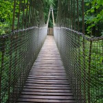 Treehouse Rope Bridge