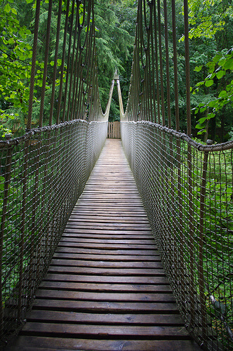 Treehouse Rope Bridge
