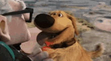 Doug, the talking dog from the Pixar film Up, is distracted by a squirrel
